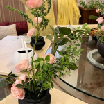 The Ikebana Get-Together (Workshop) whatsapp image 2025 09 21 at 2.46.42 pm 1.webp
