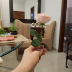 The Ikebana Get-Together (Workshop) whatsapp image 2025 09 21 at 2.46.44 pm.webp