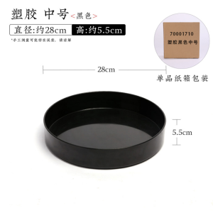 moribana plain 2.webp